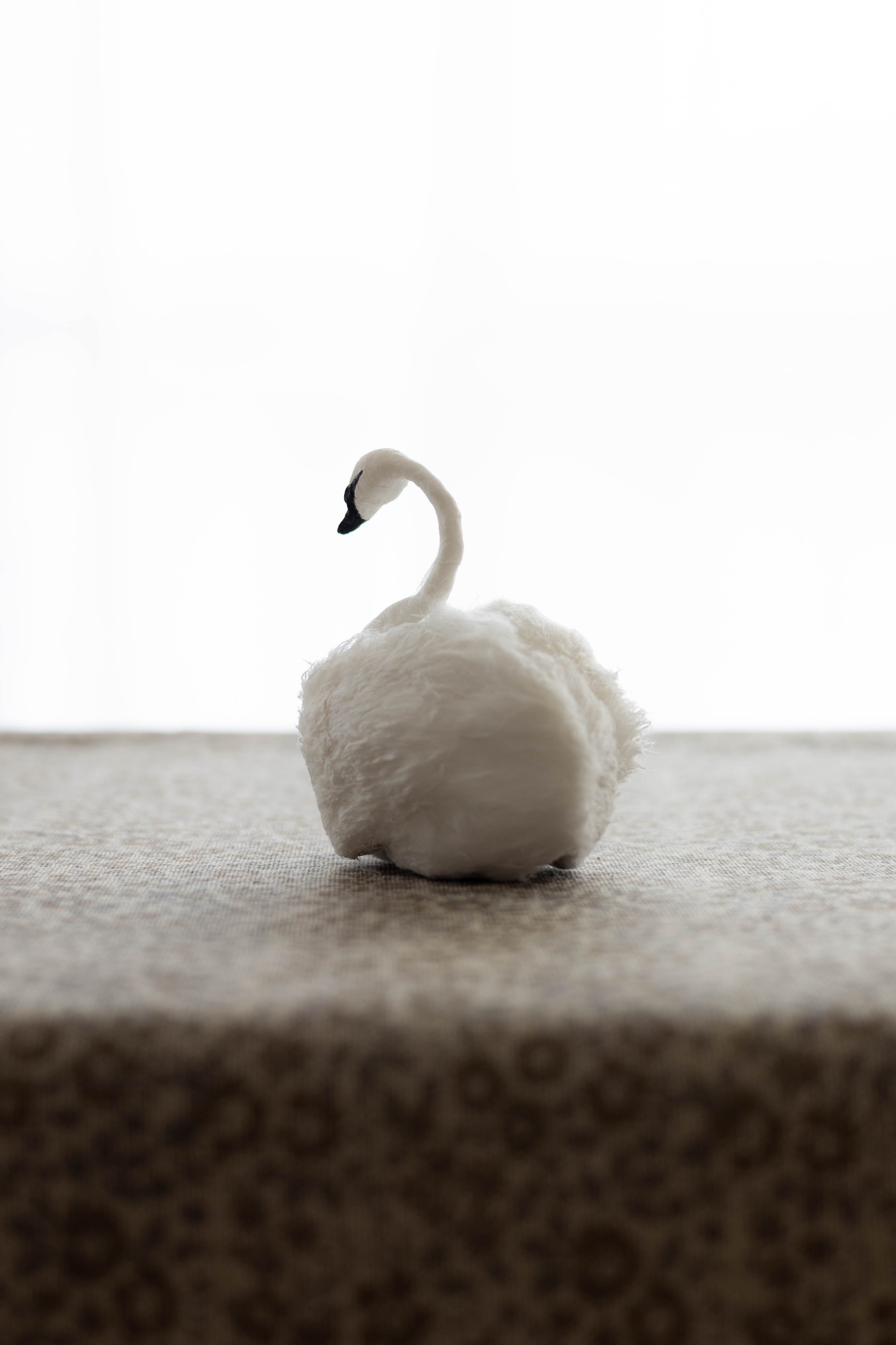 Swan No.006