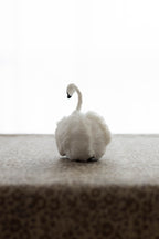 Swan No.006