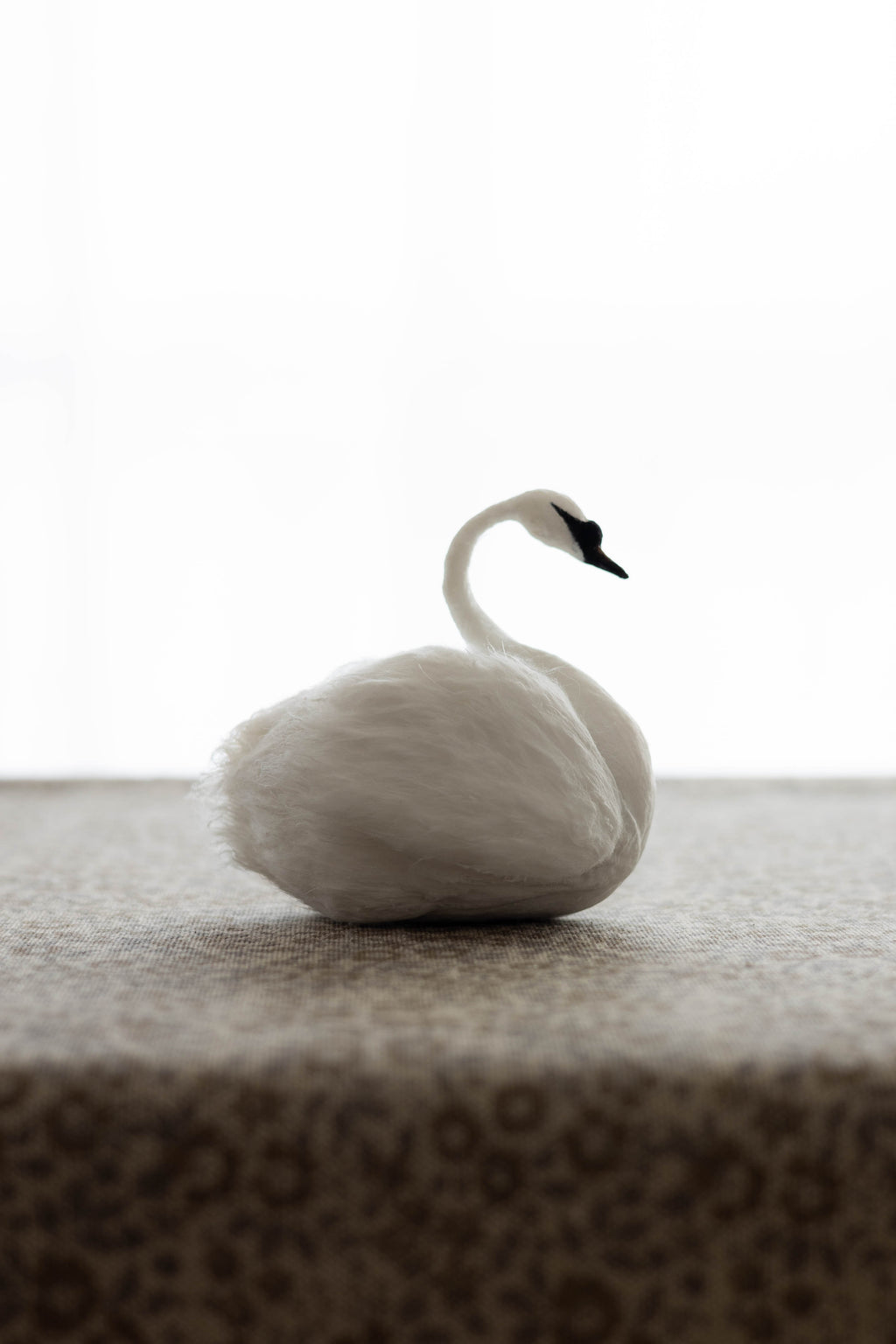 Swan No.006