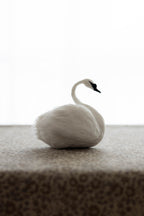 Swan No.006