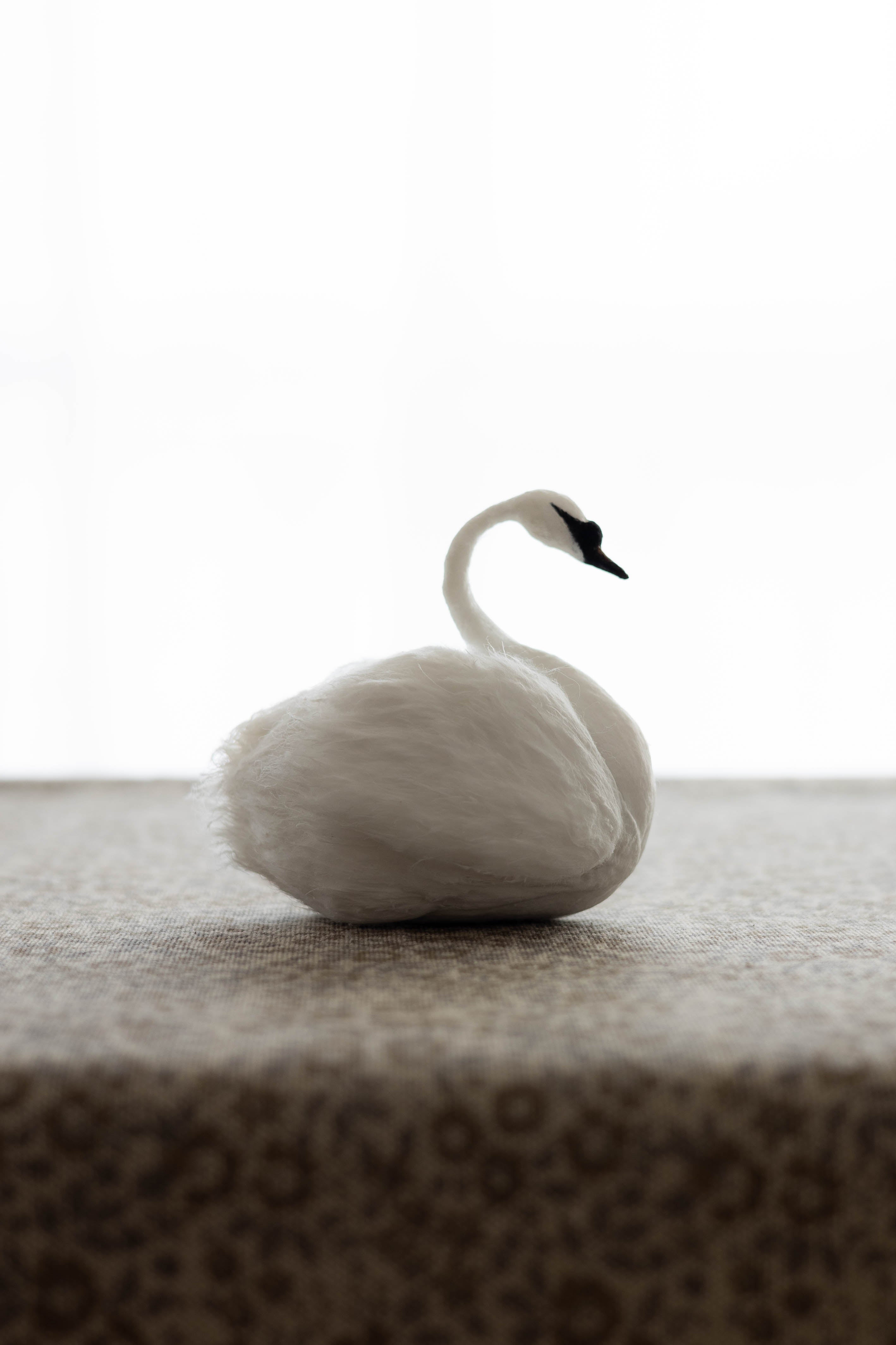 Swan No.006