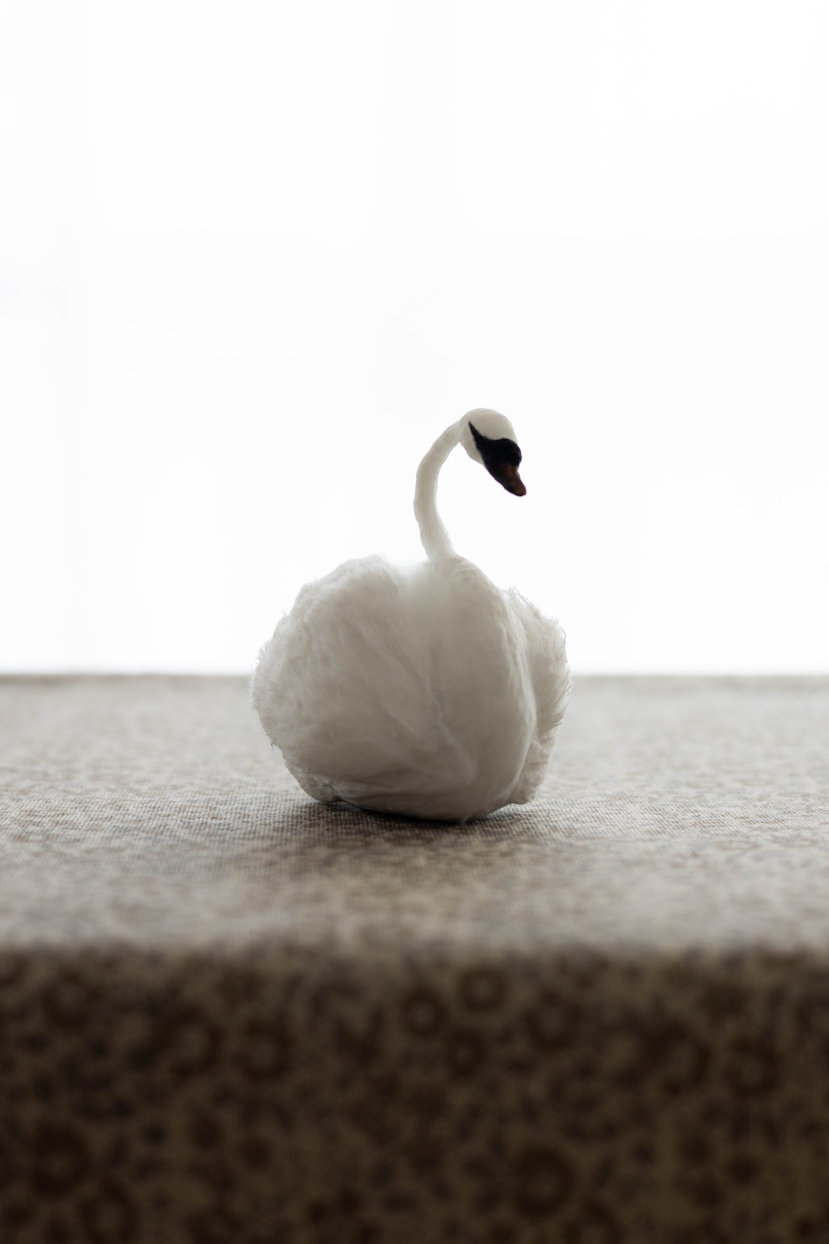 Swan No.006