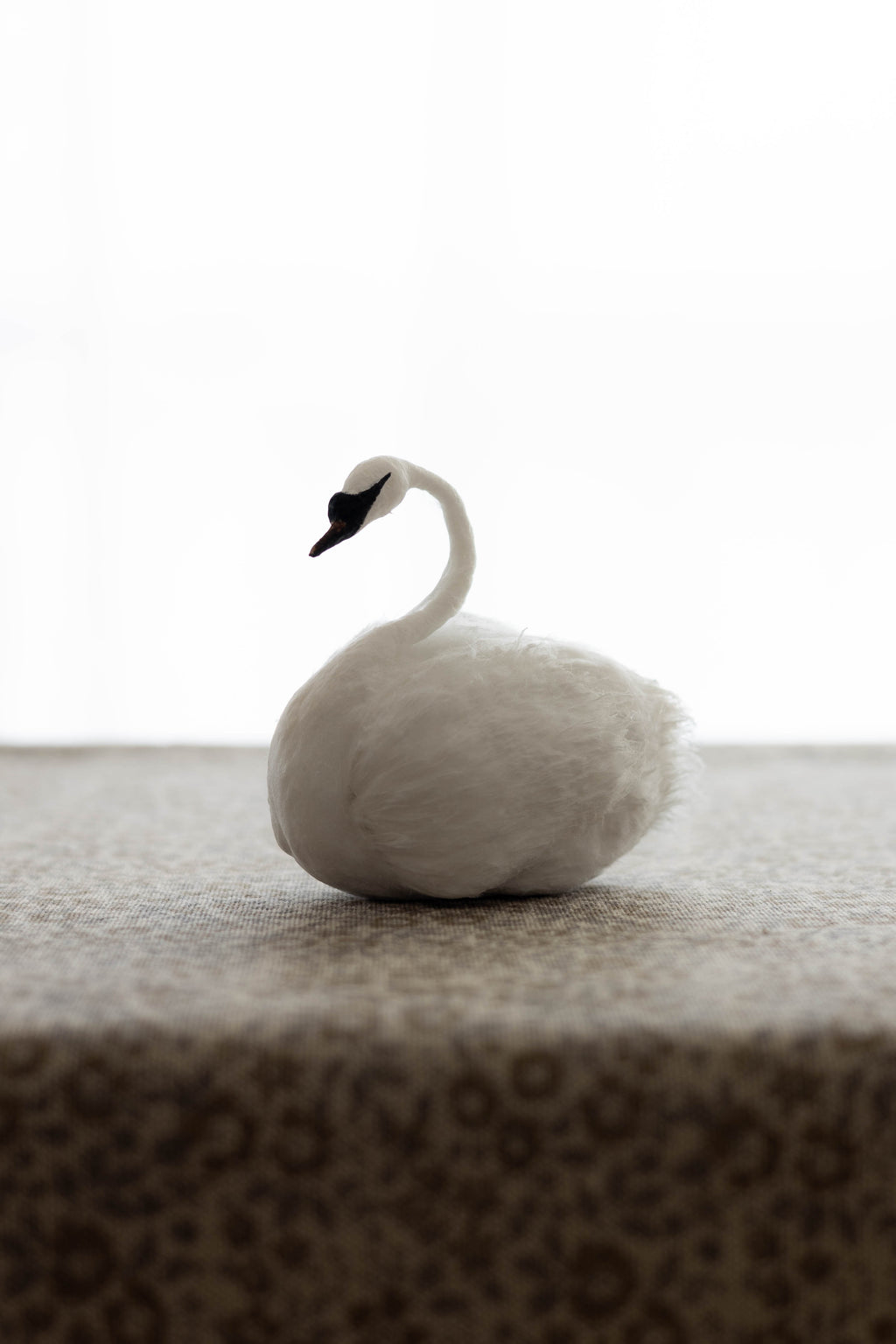 Swan No.006