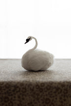 Swan No.006