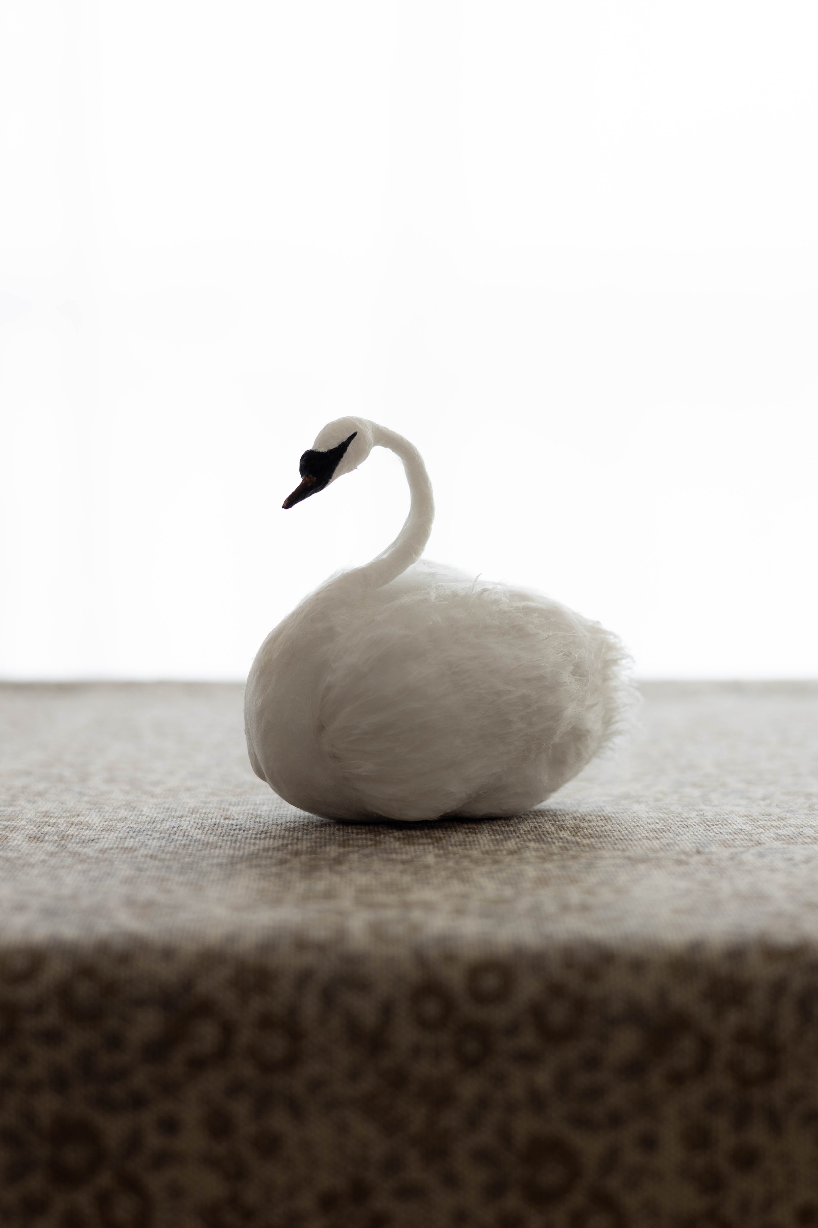 Swan No.006