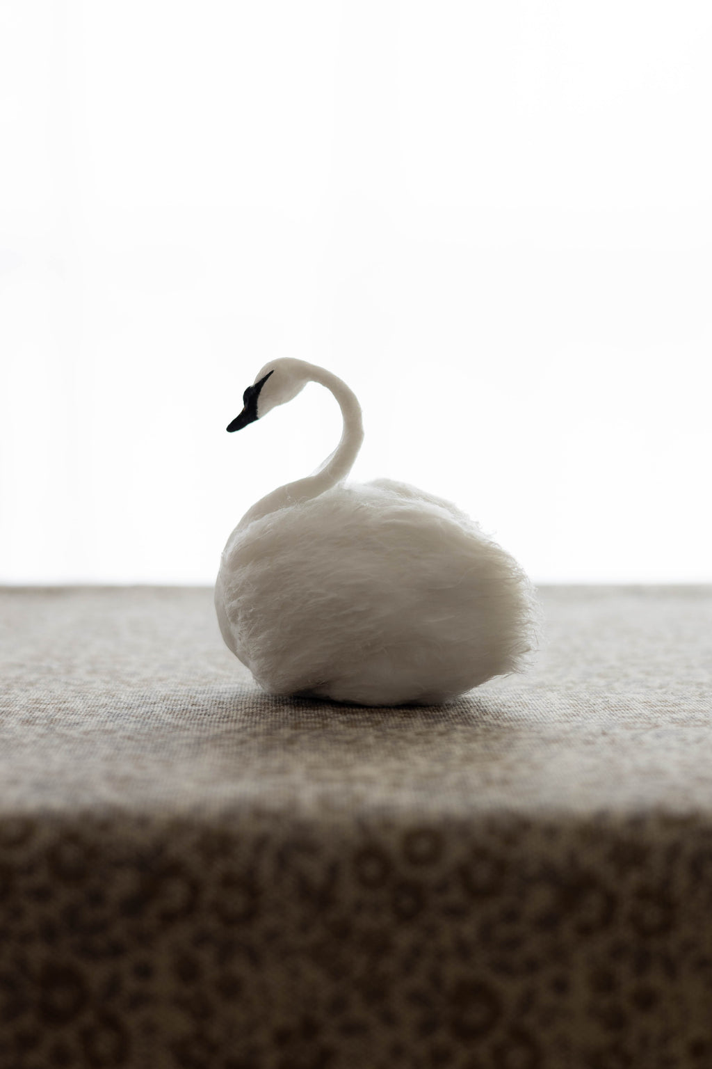 Swan No.006