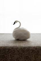 Swan No.006