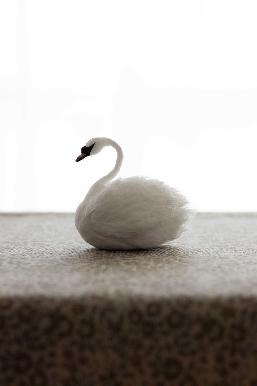 Swan No.007