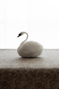 Swan No.007