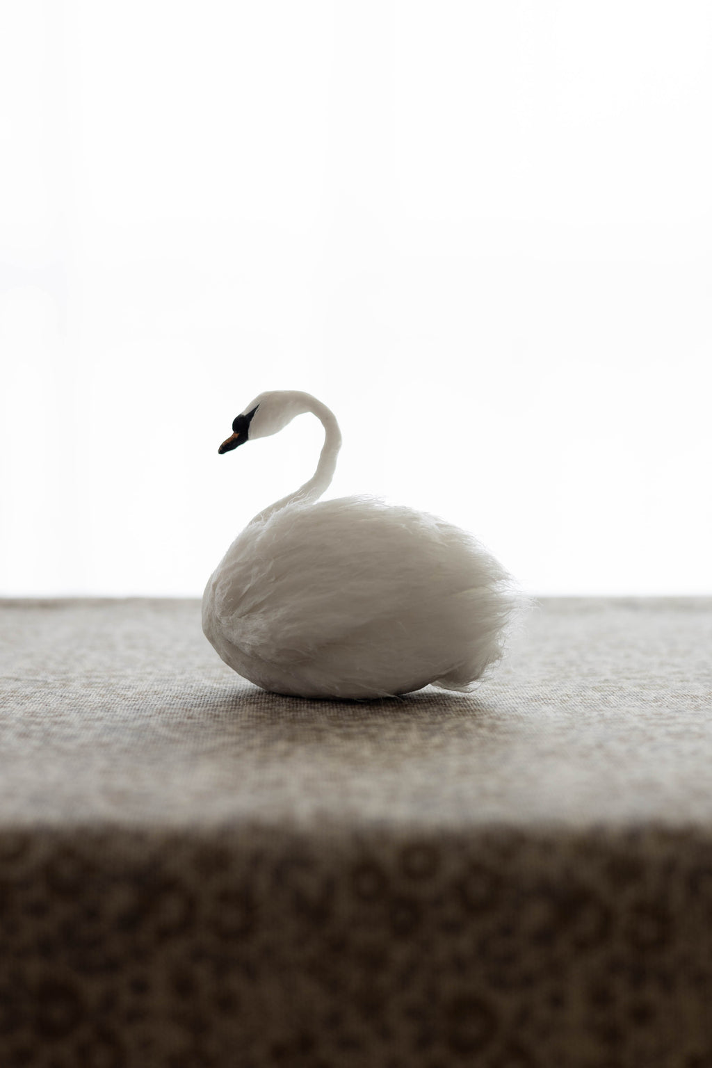 Swan No.007