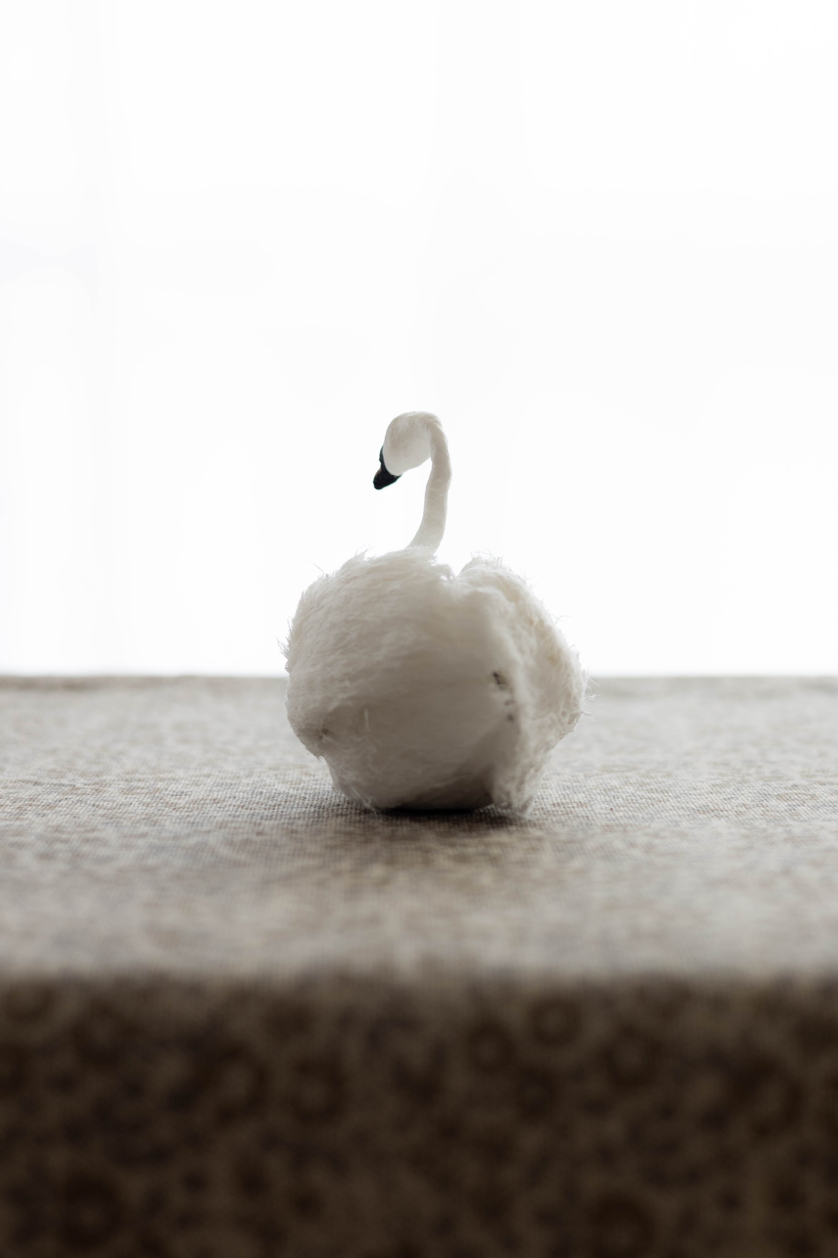 Swan No.007