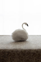 Swan No.007