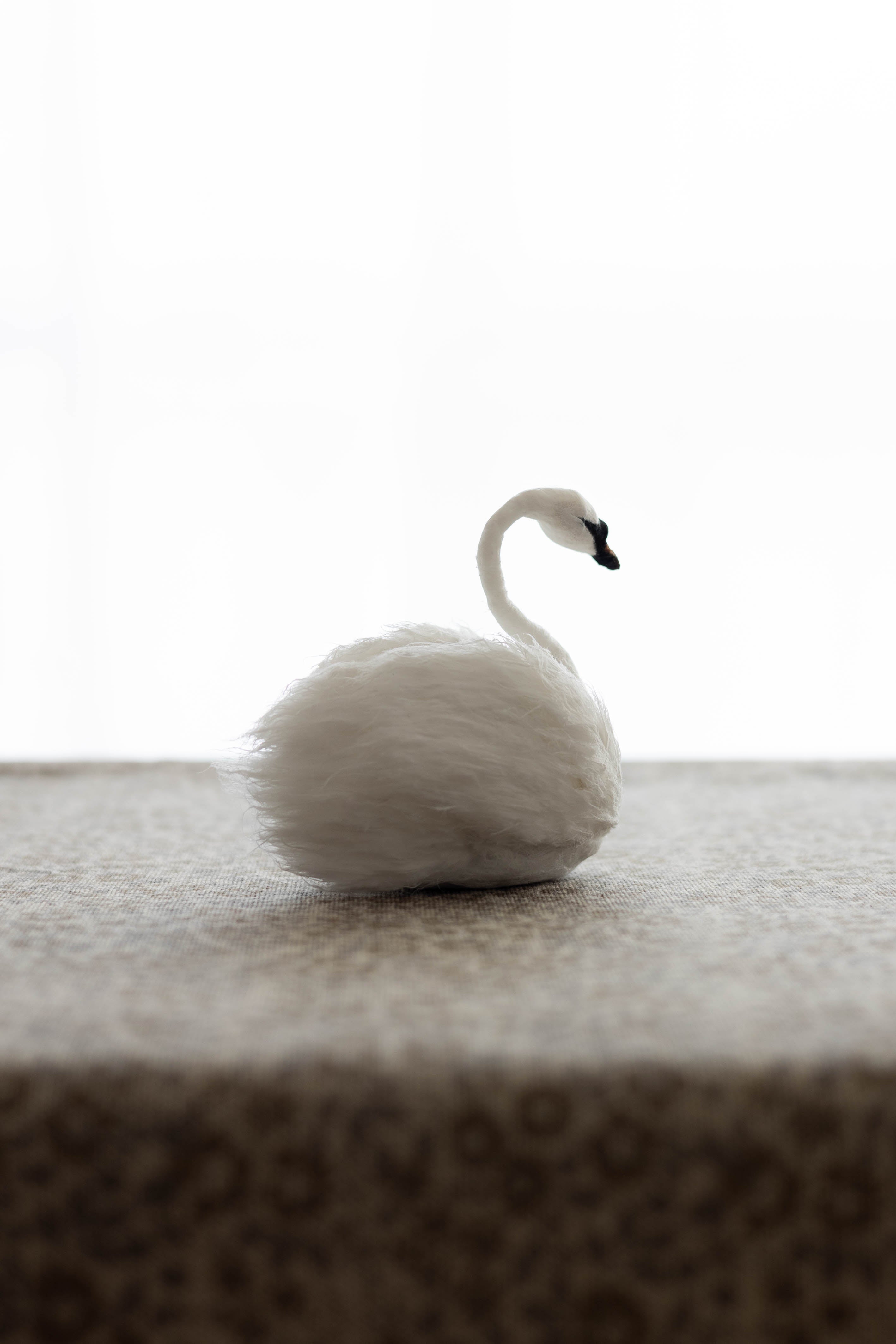Swan No.007