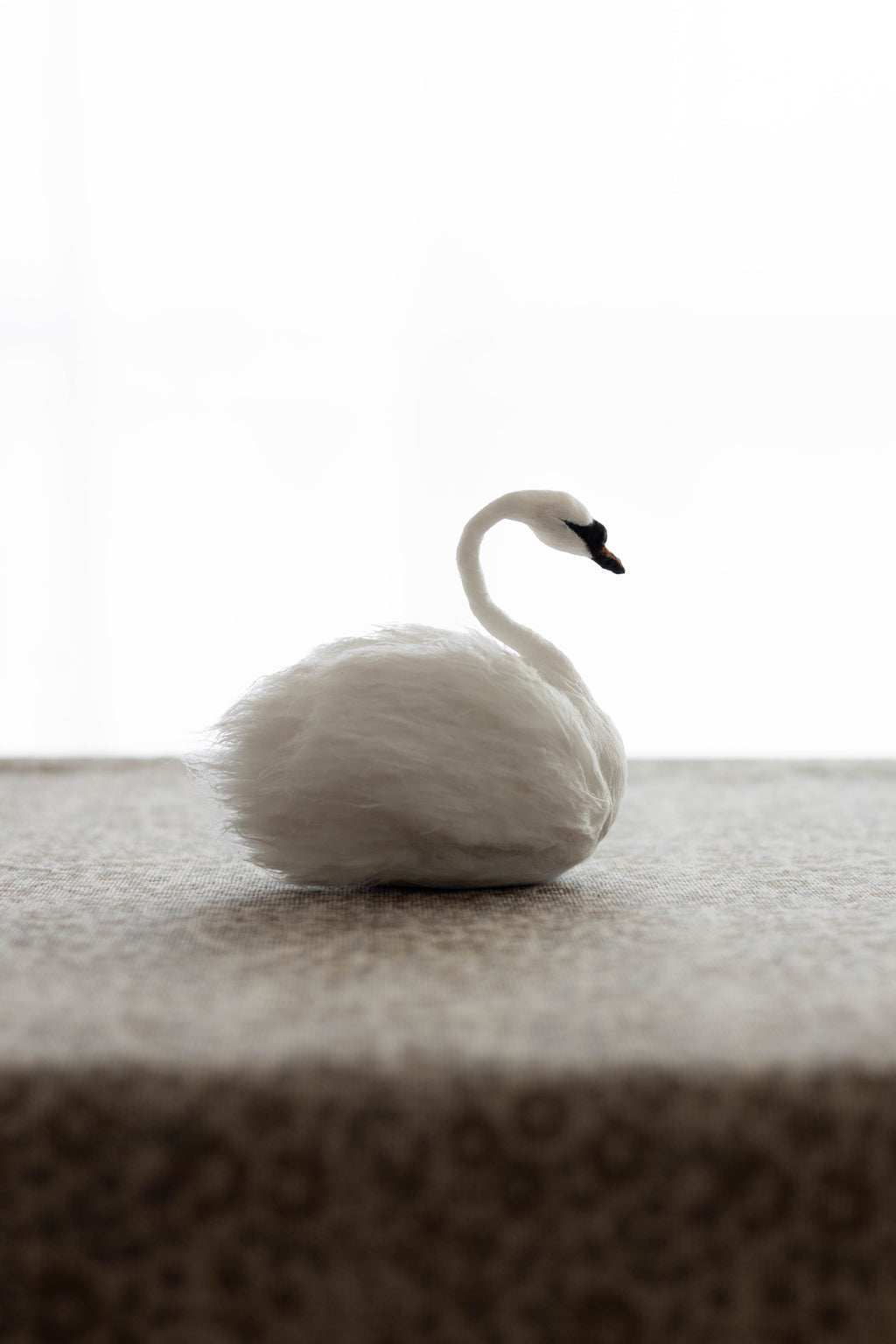 Swan No.007
