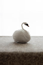 Swan No.007