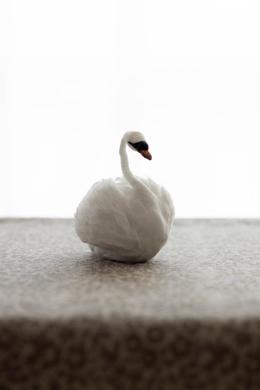 Swan No.007
