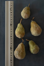 Pears No.003