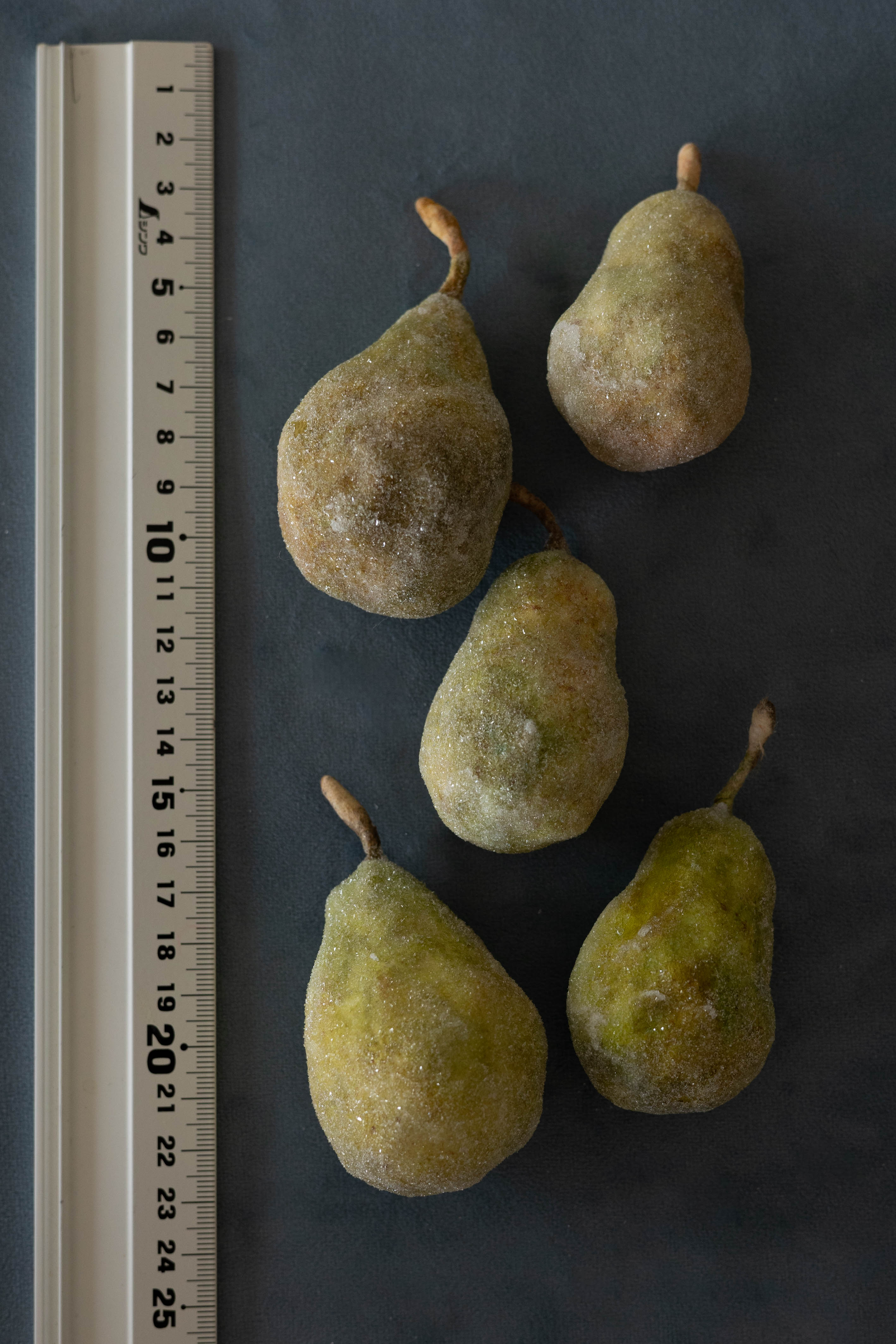 Pears No.004
