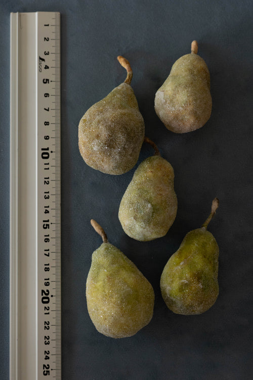 Pears No.004