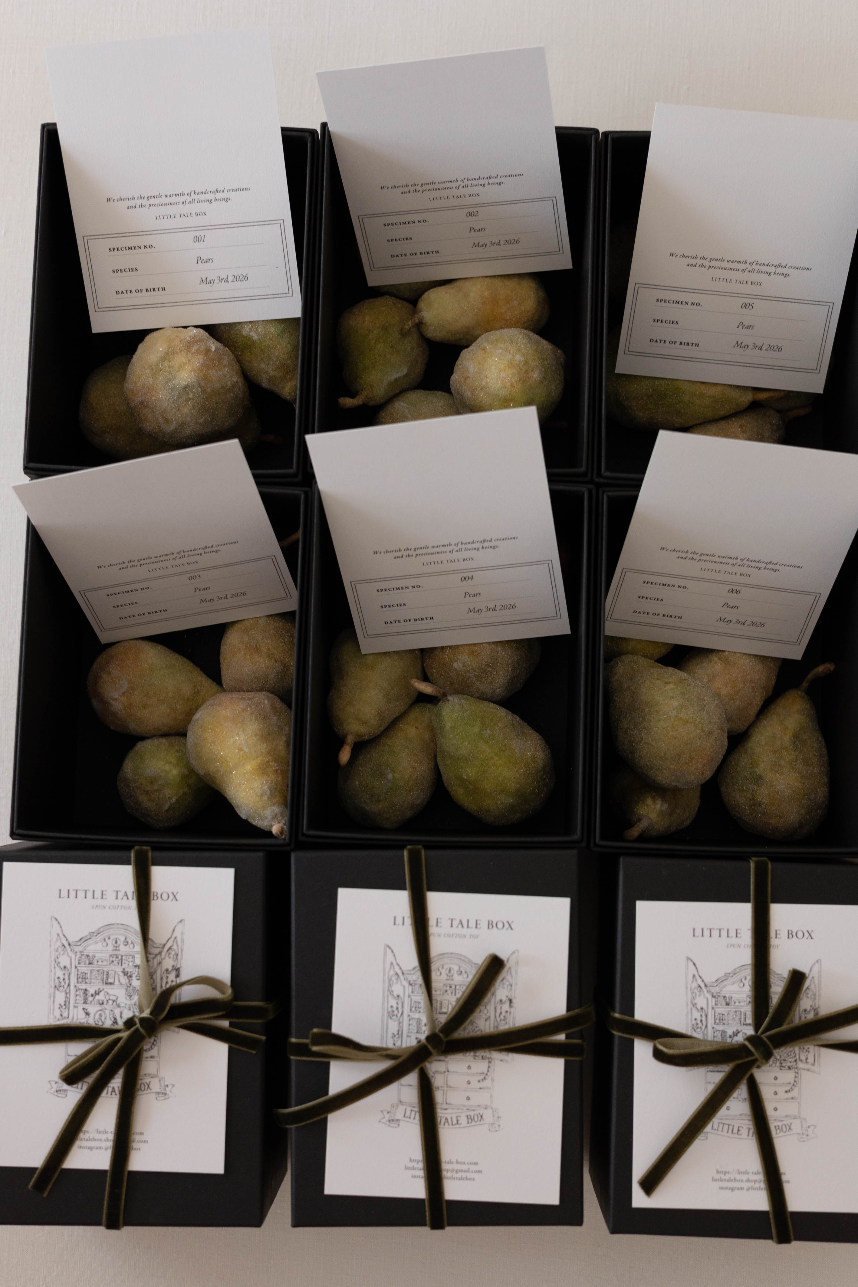 Pears No.001