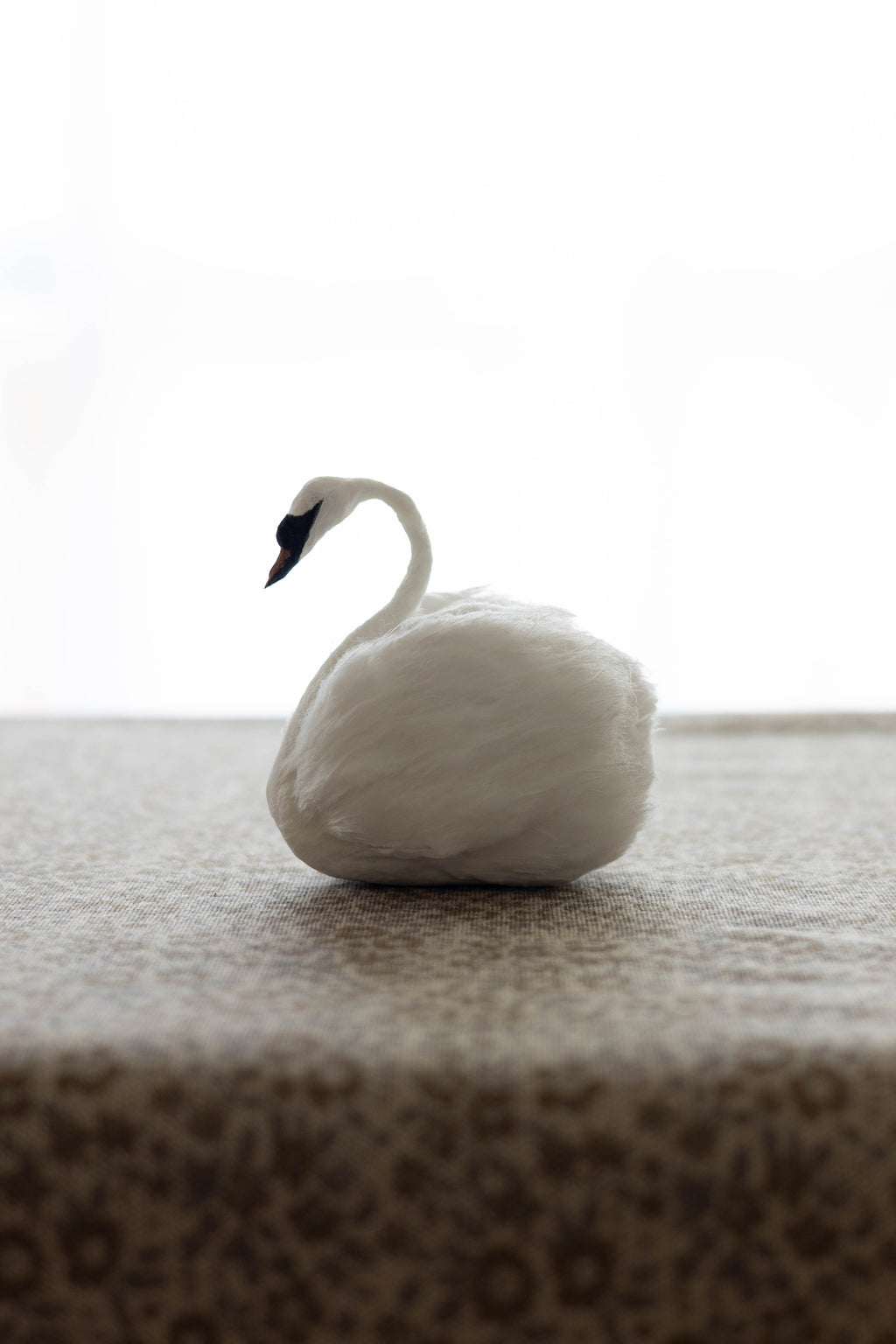 Swan No.004