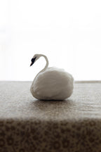 Swan No.004