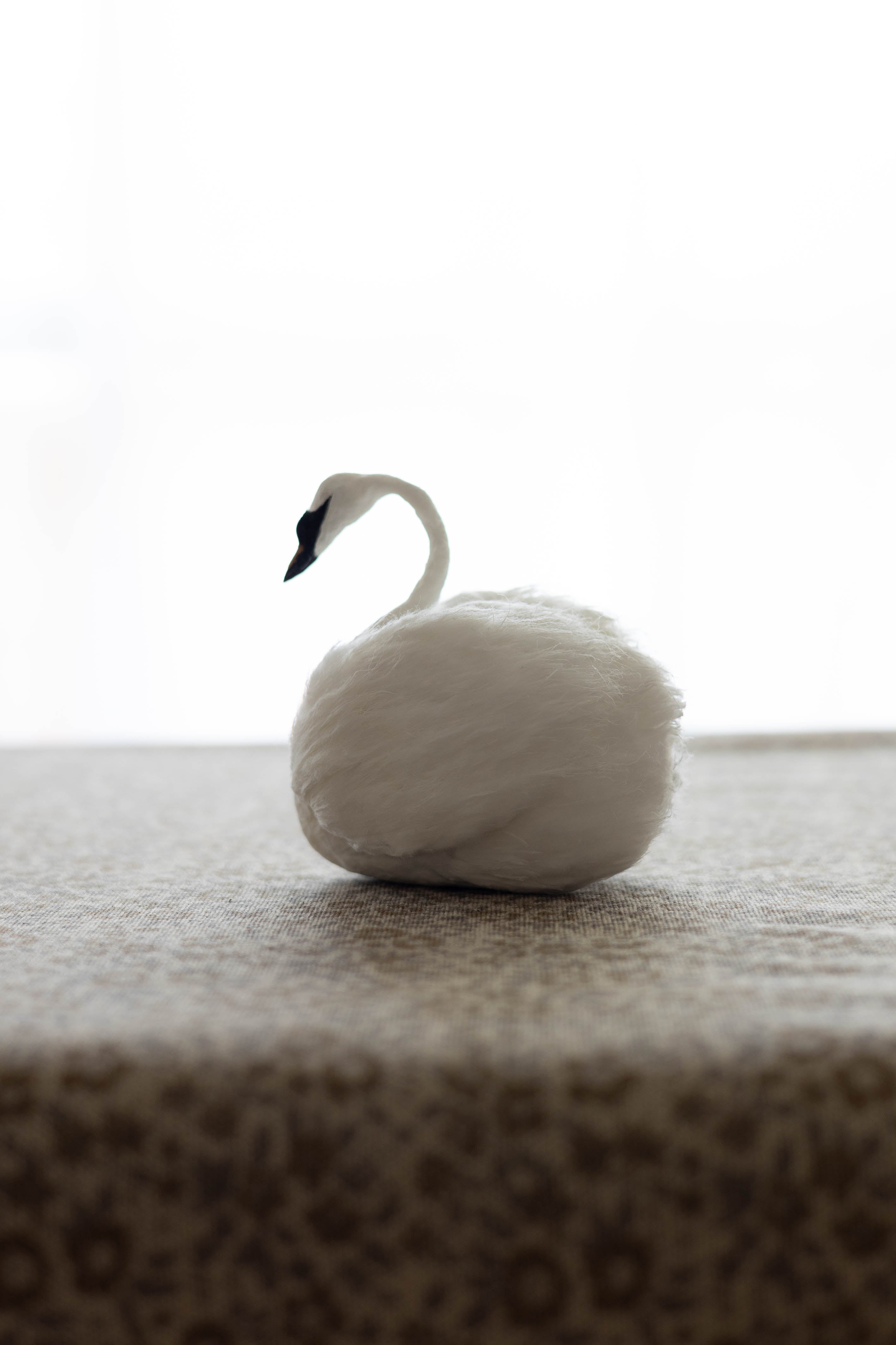 Swan No.004
