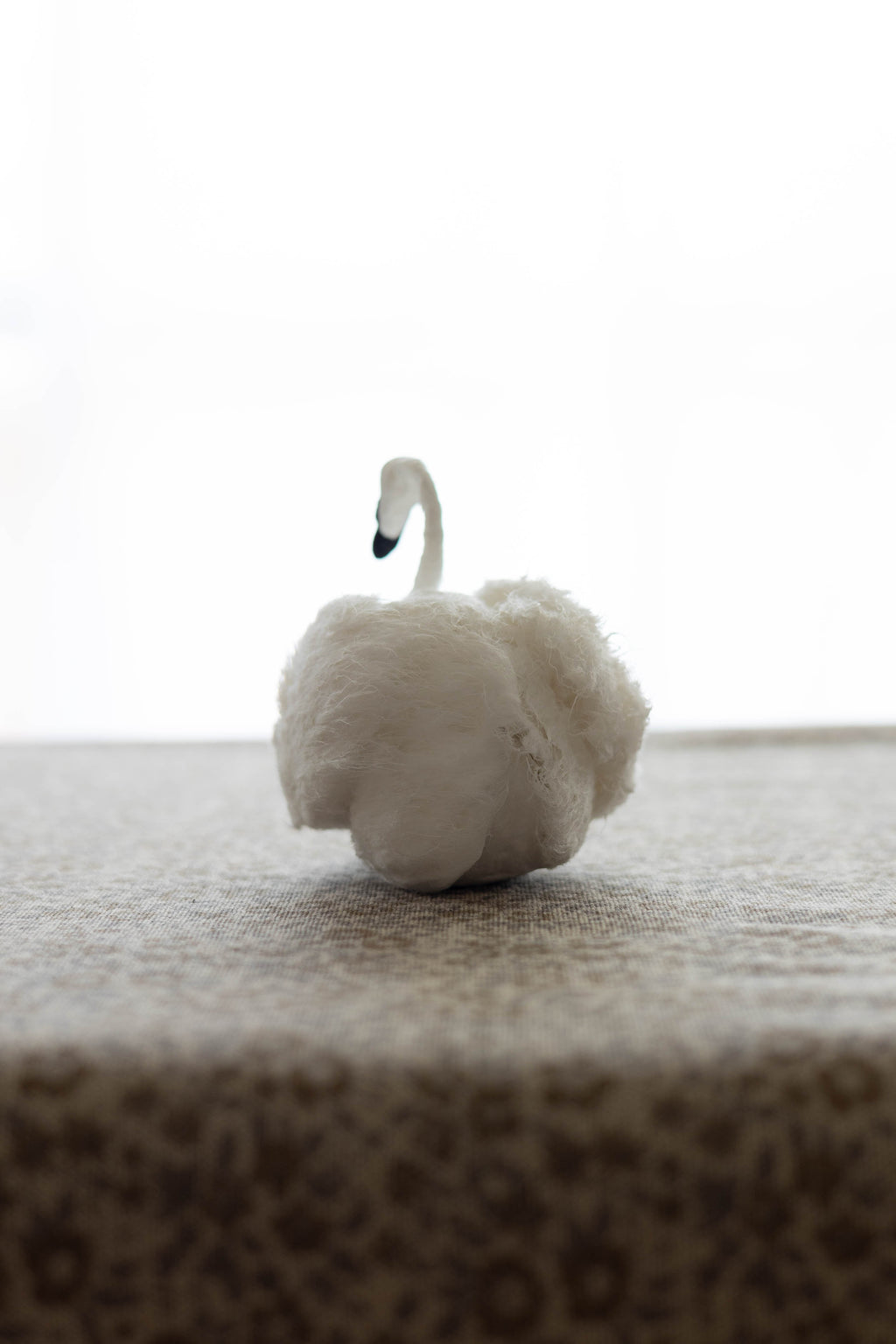 Swan No.004