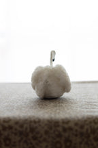 Swan No.004