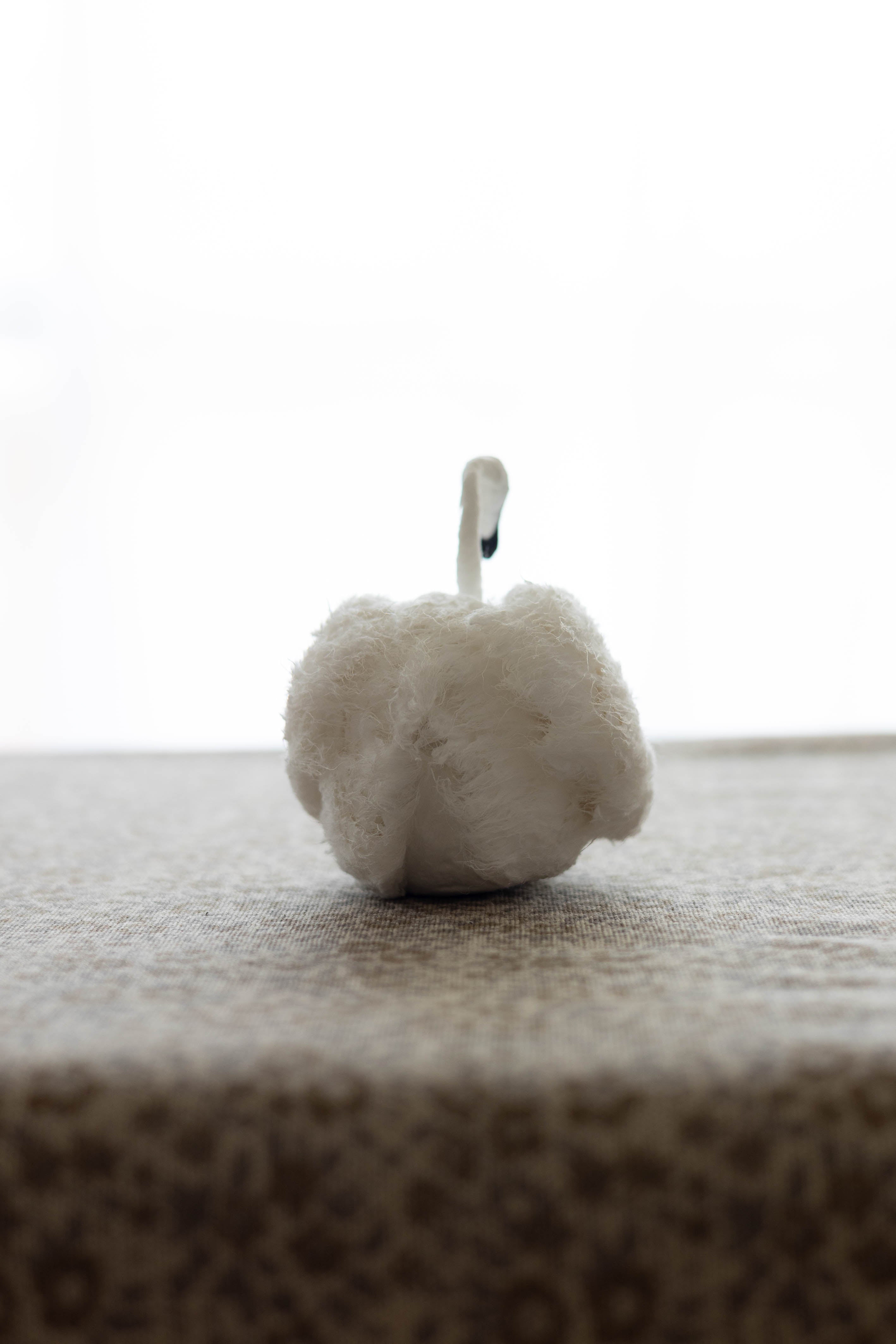 Swan No.004