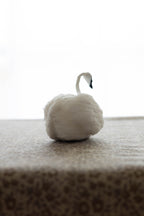 Swan No.004