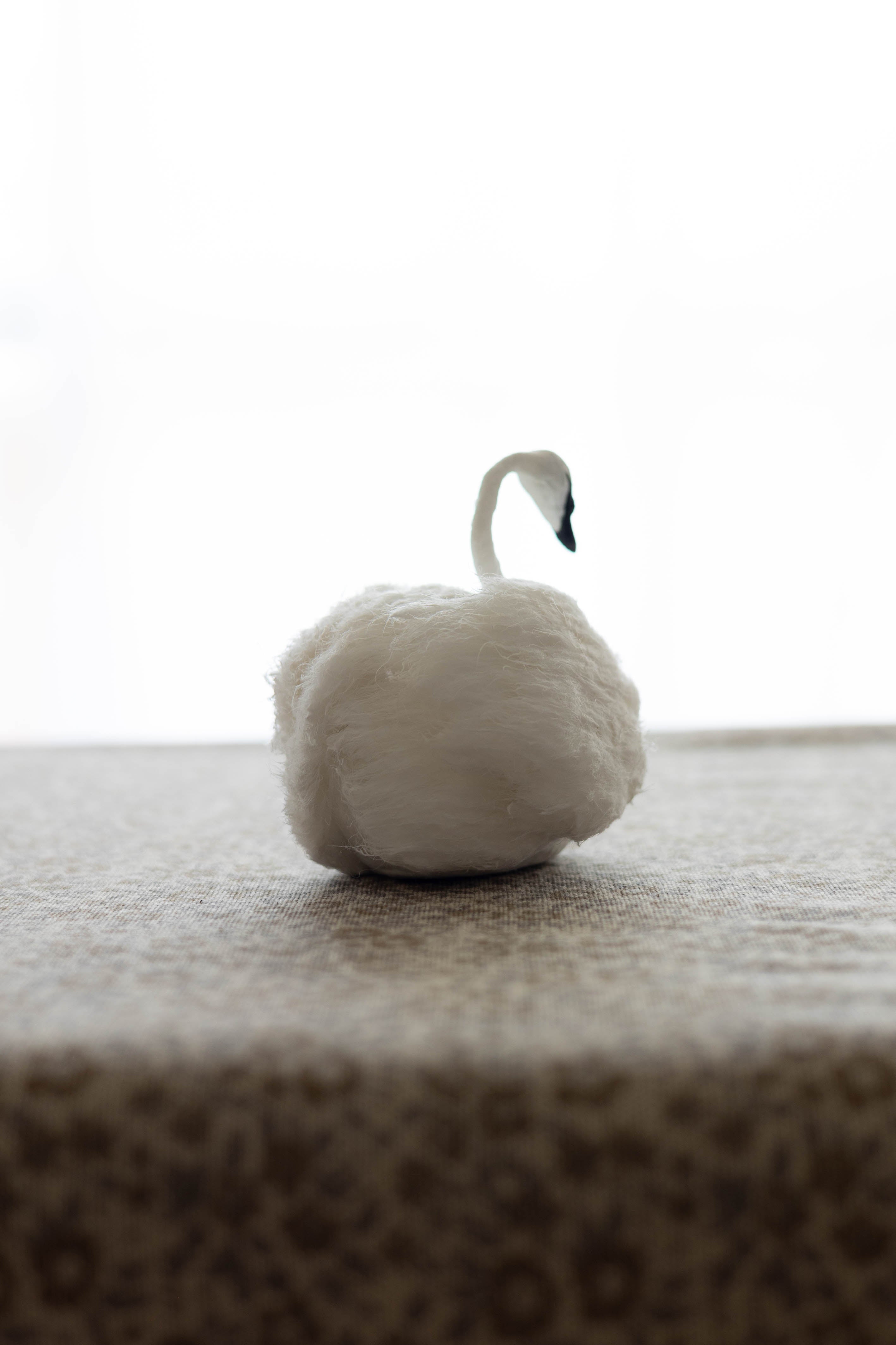 Swan No.004