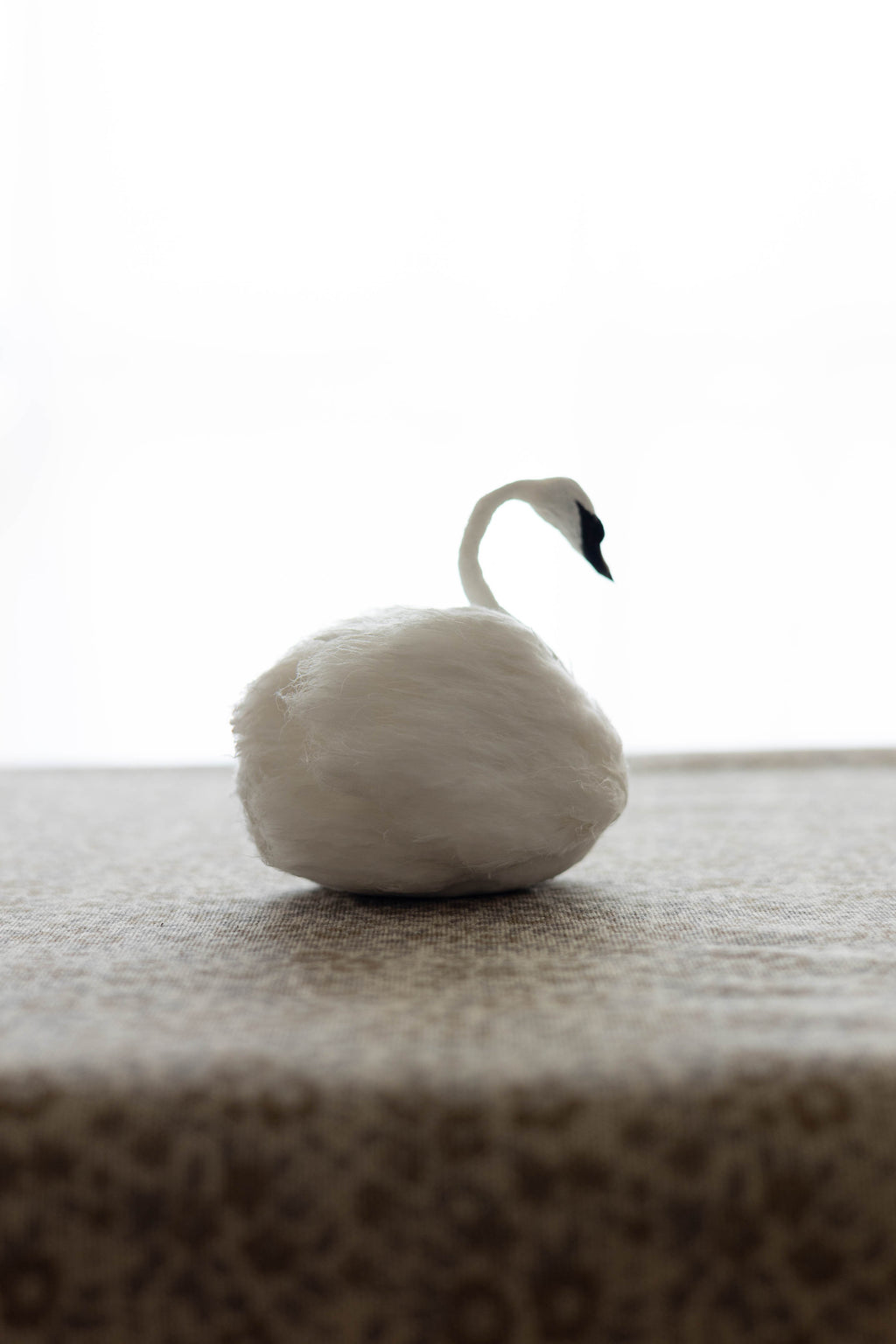 Swan No.004