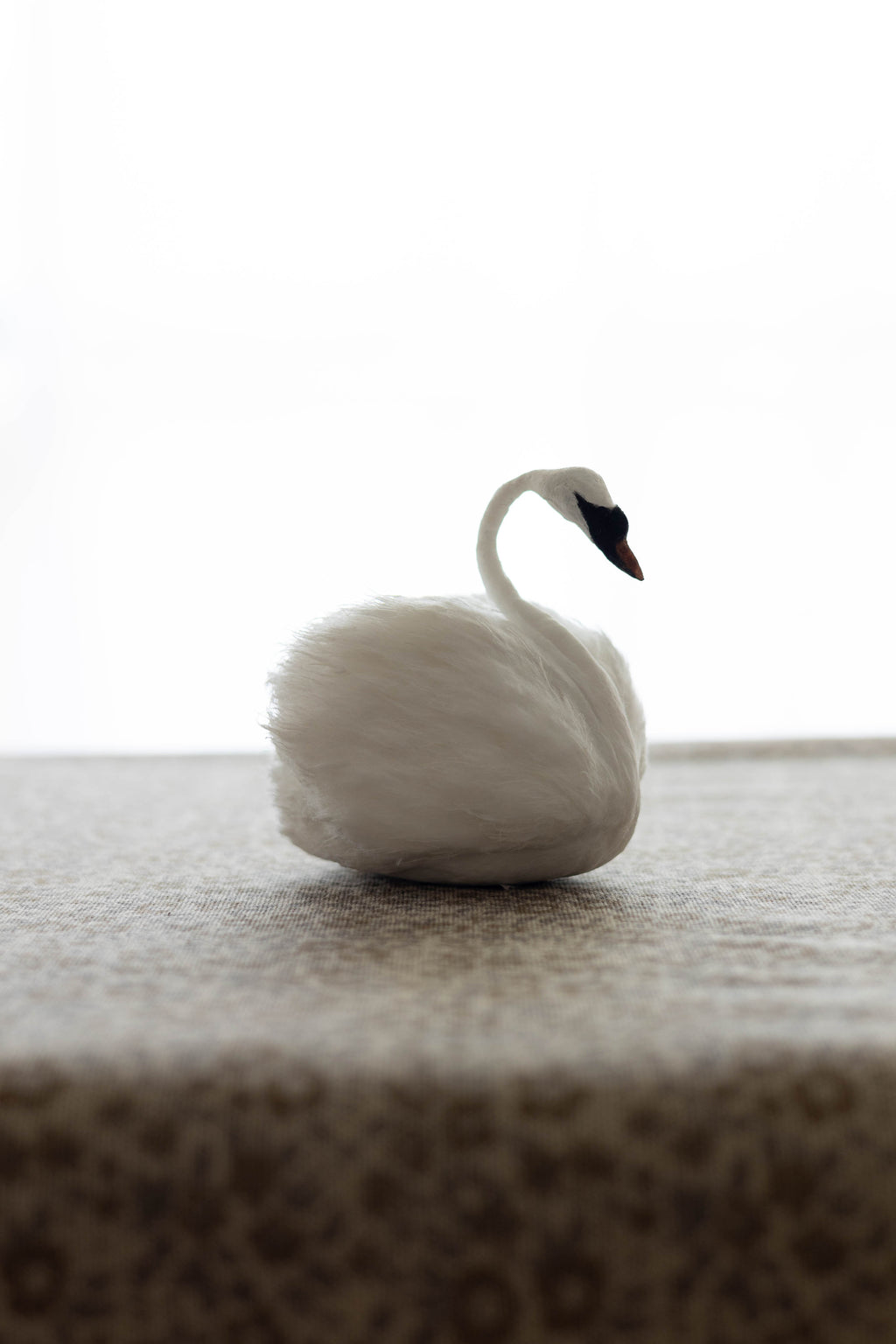 Swan No.004