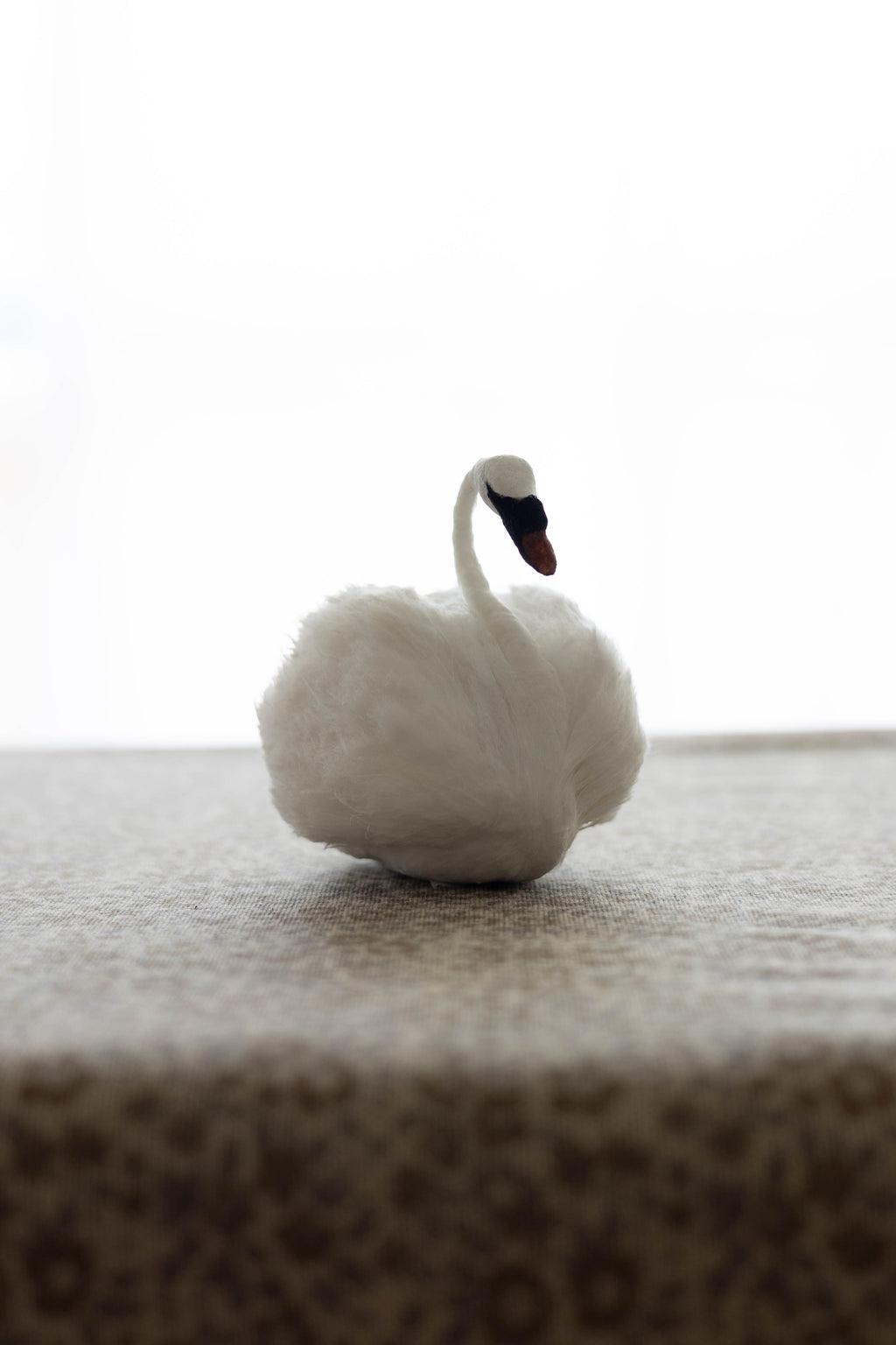 Swan No.004