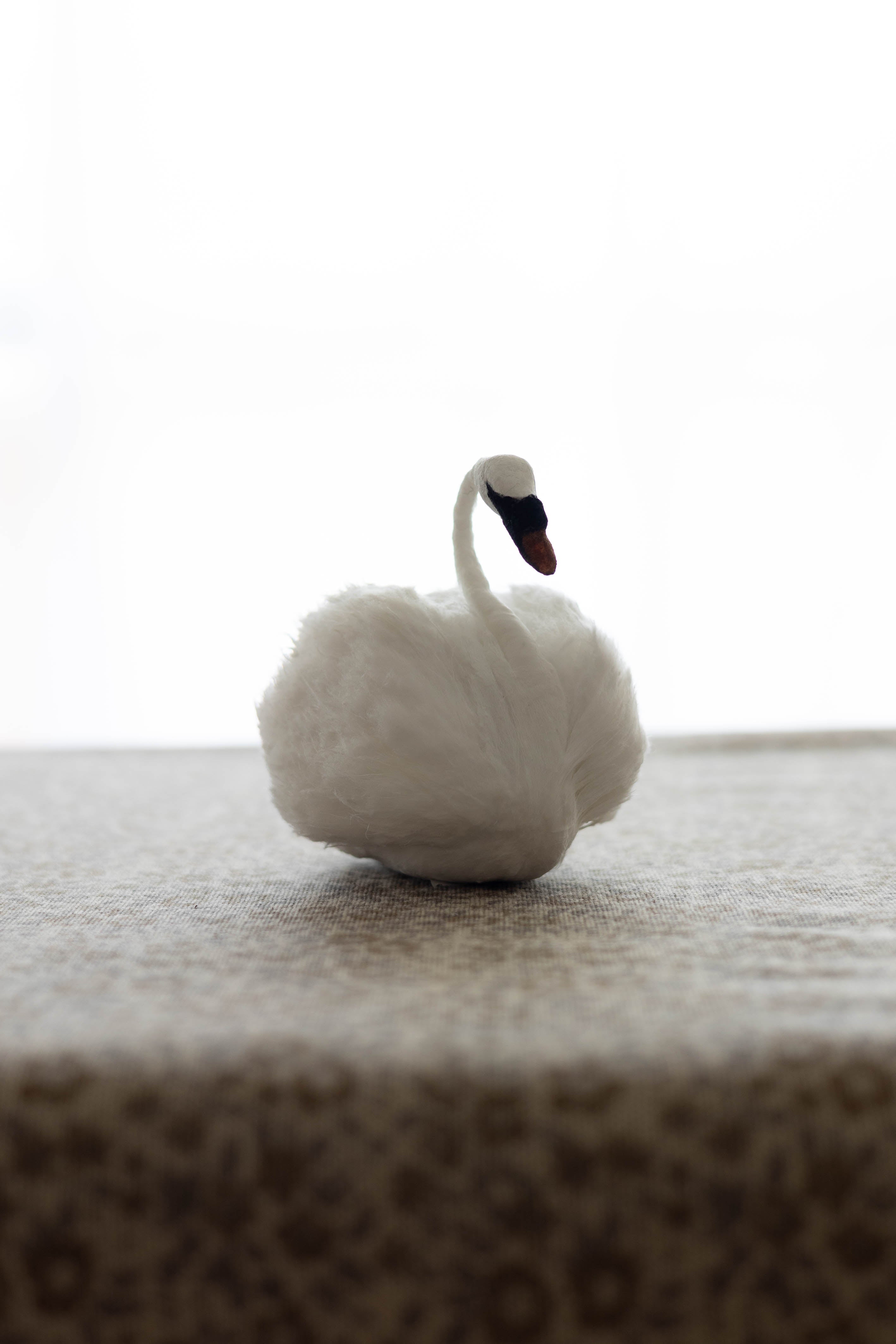 Swan No.004