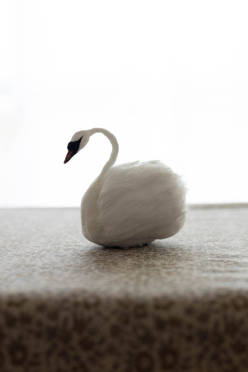 Swan No.008