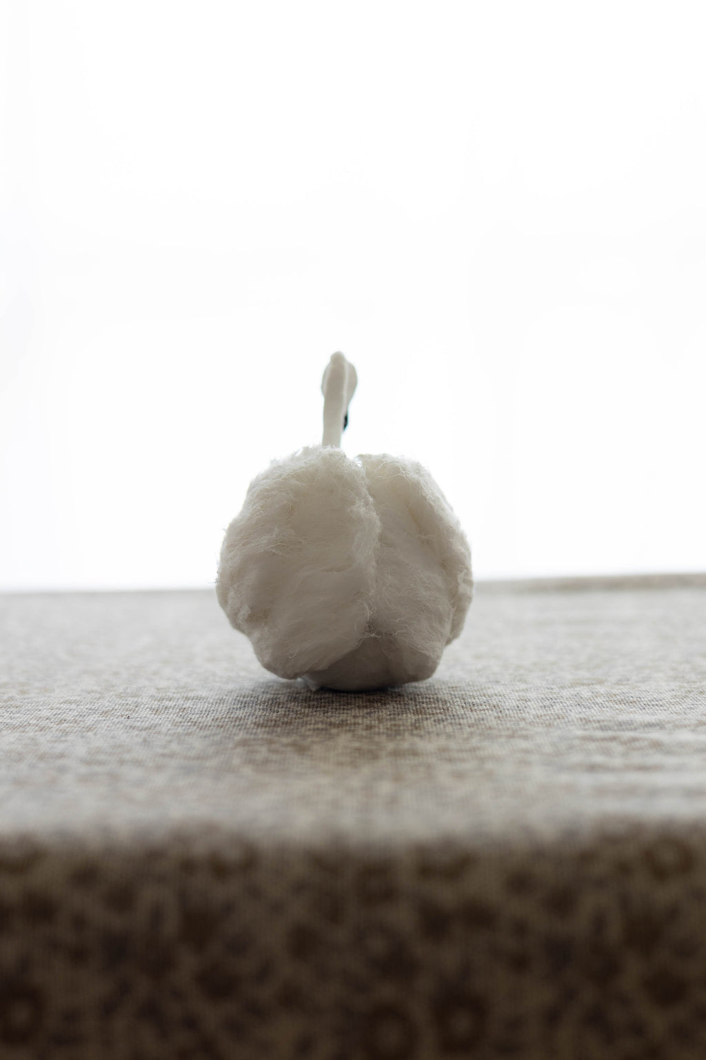Swan No.008