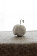 Swan No.008