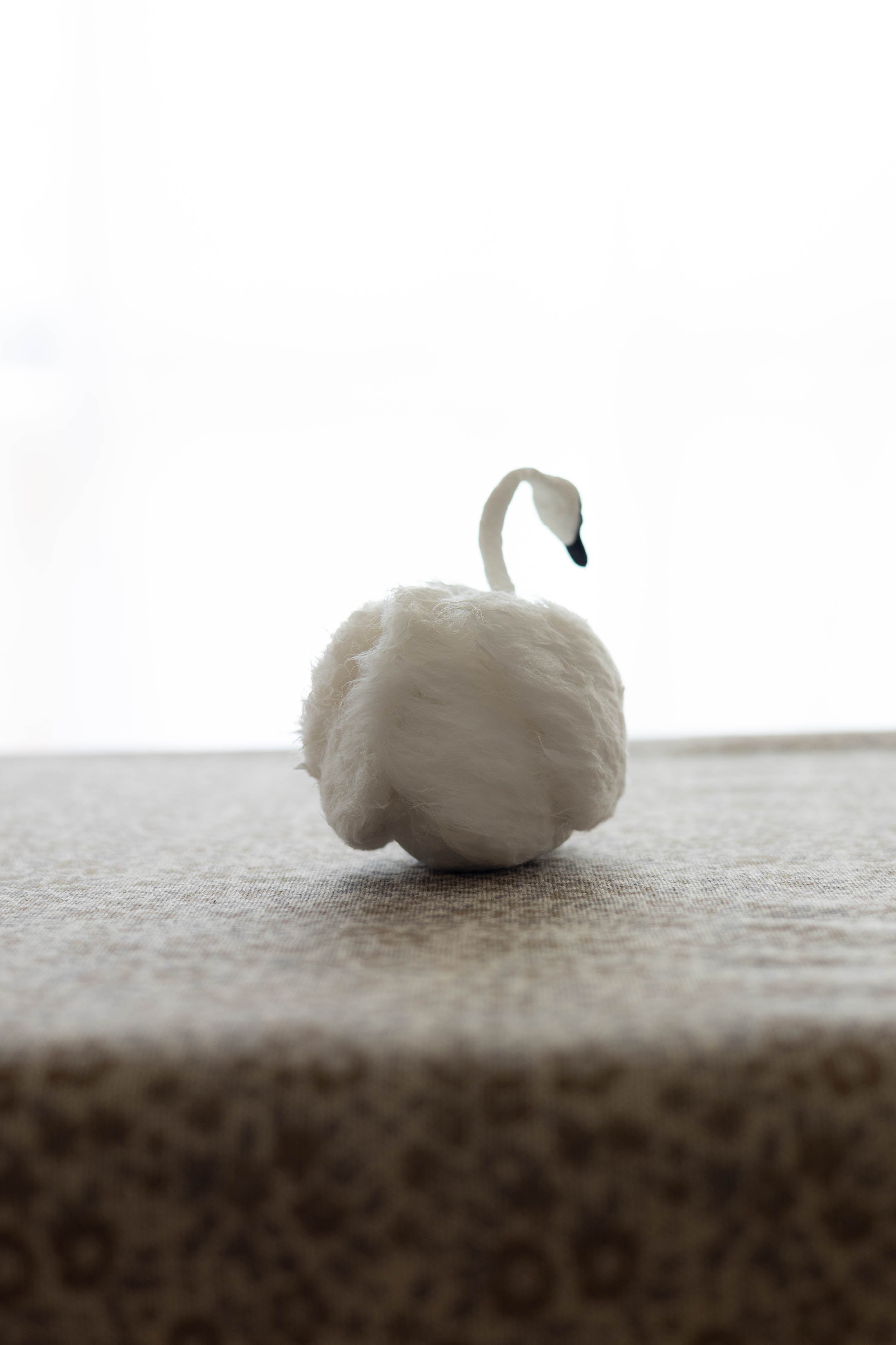 Swan No.008