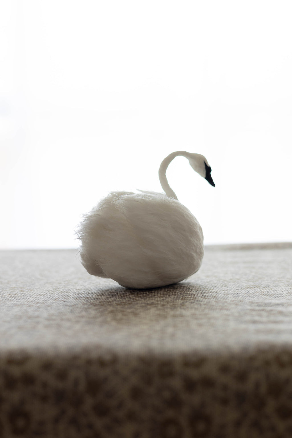 Swan No.008