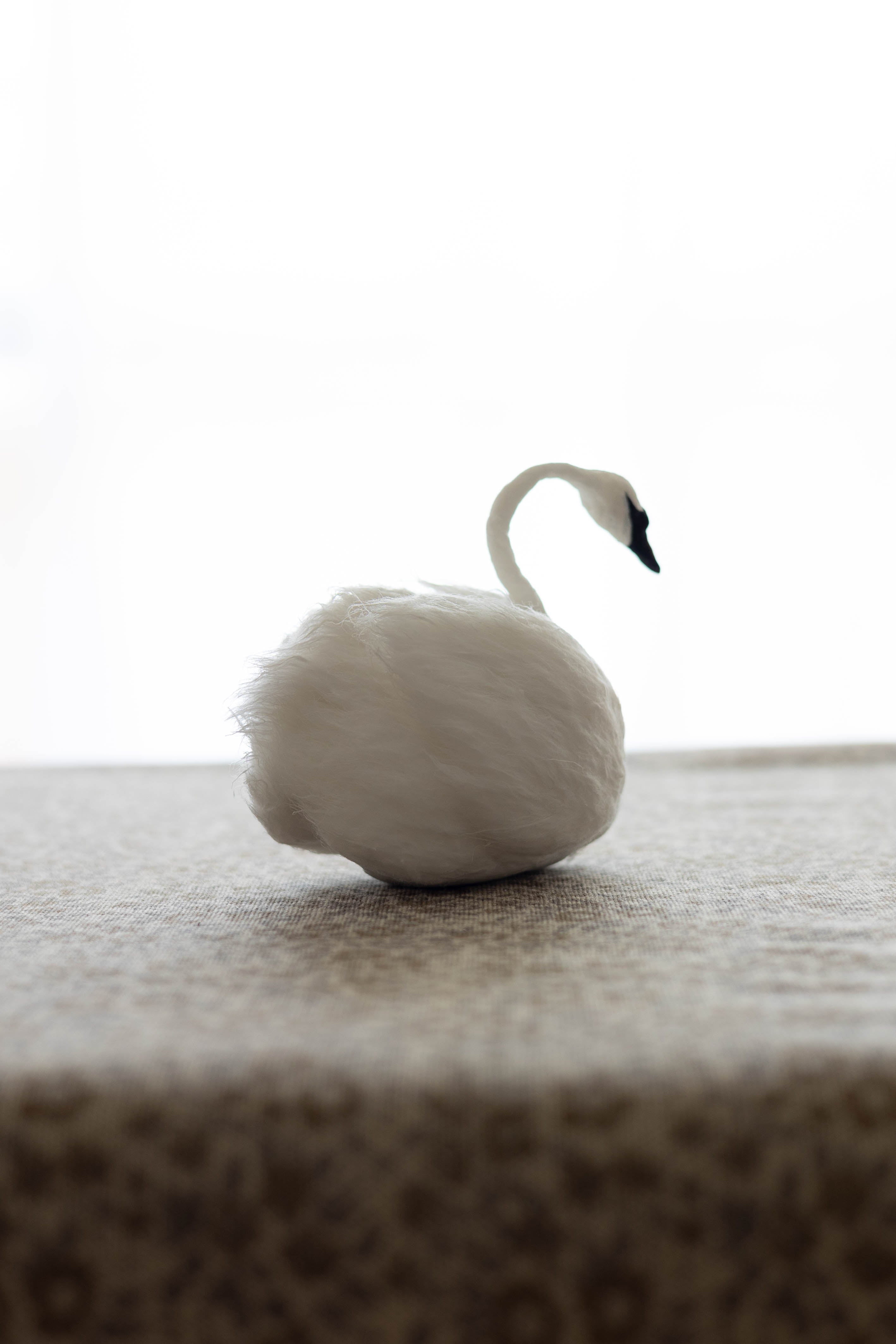 Swan No.008