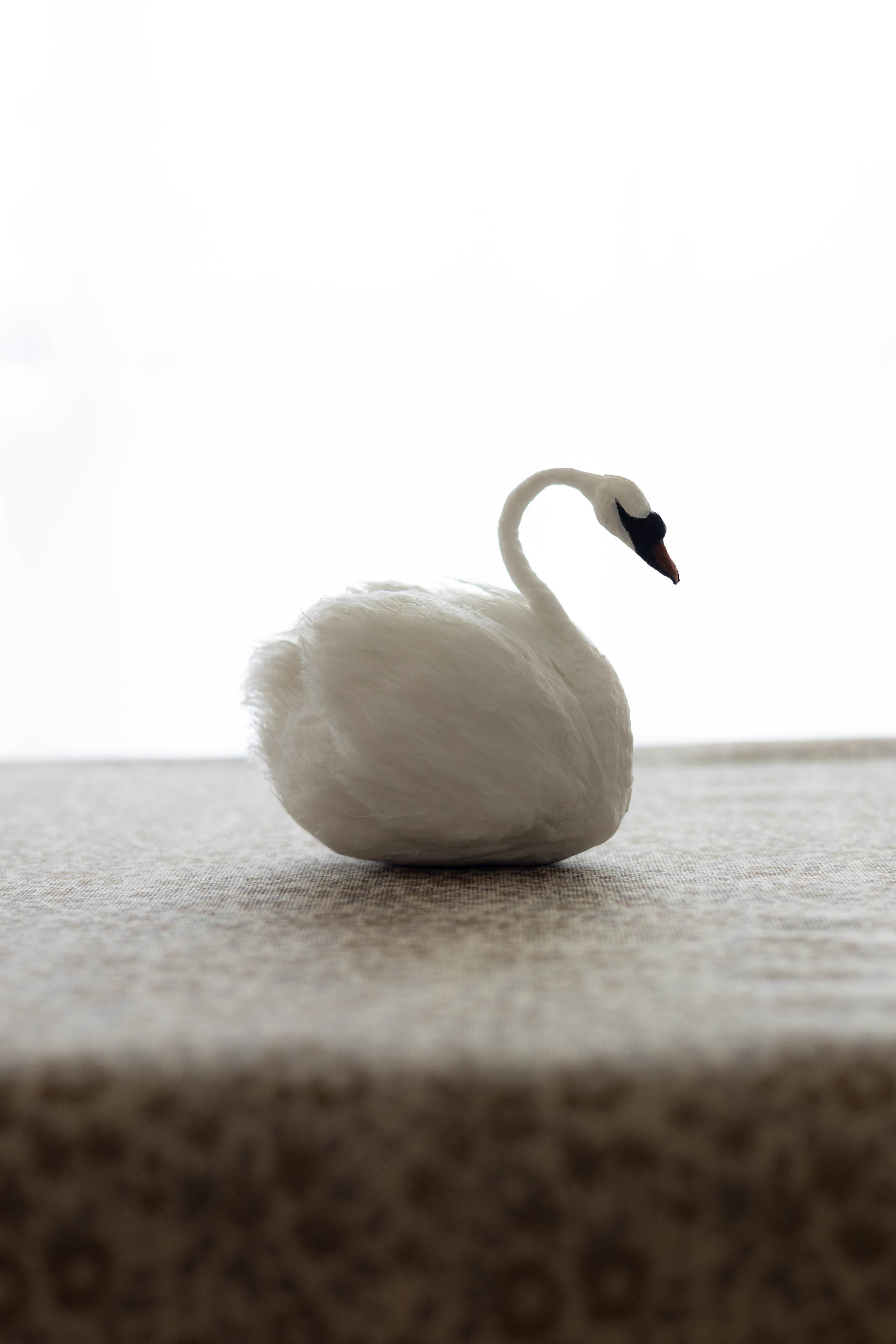 Swan No.008