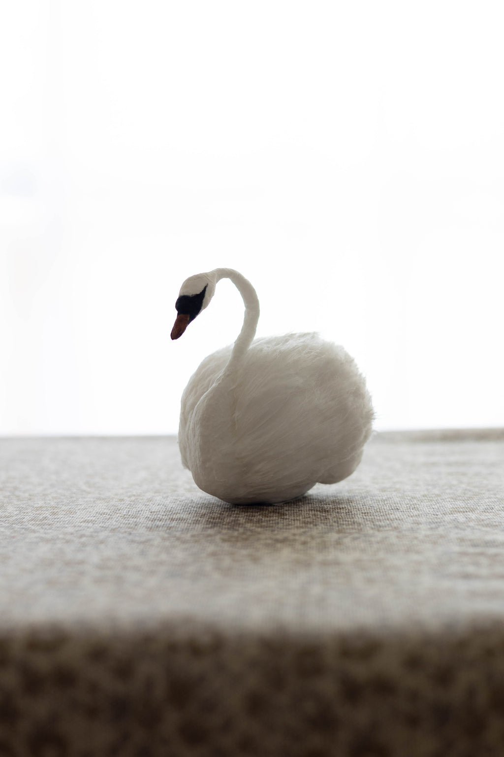 Swan No.008