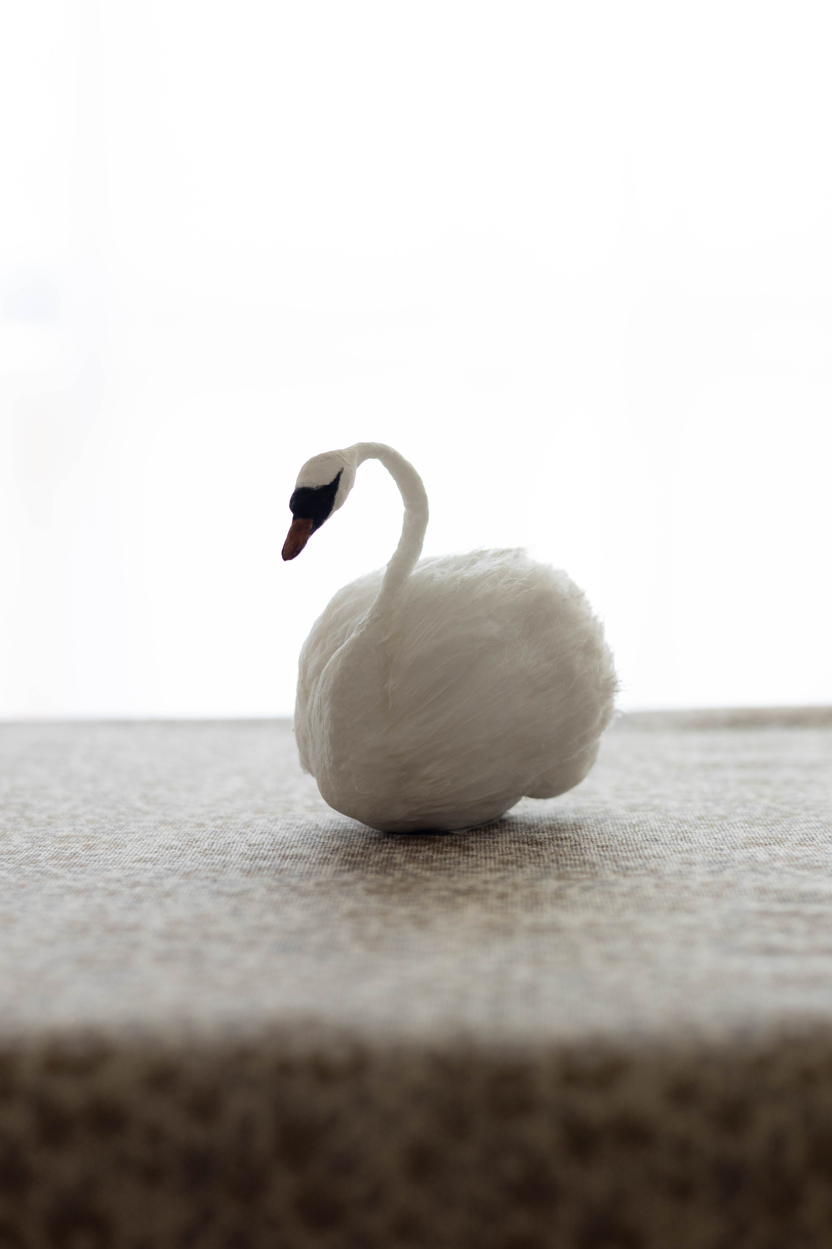 Swan No.008